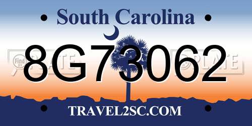 8G73062 South Carolina License Plate