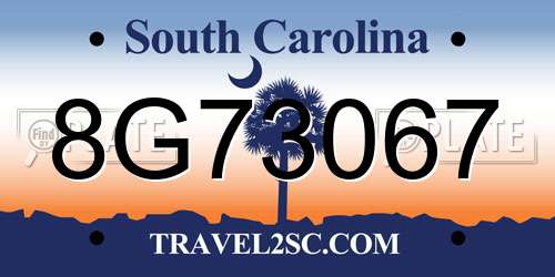 8G73067 South Carolina License Plate