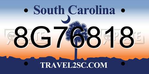 8G76818 South Carolina License Plate