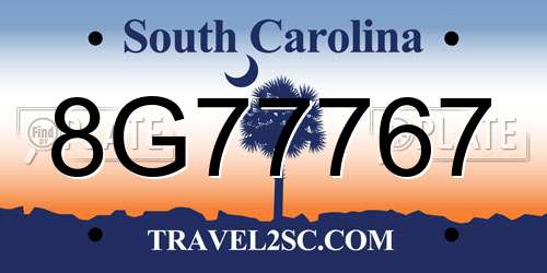 8G77767 South Carolina License Plate
