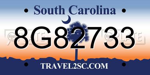 8G82733 South Carolina License Plate