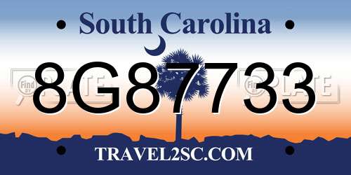 8G87733 South Carolina License Plate