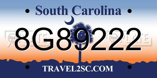 8G89222 South Carolina License Plate