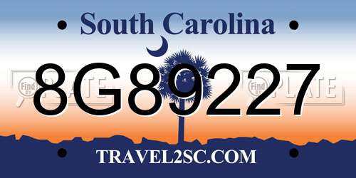 8G89227 South Carolina License Plate