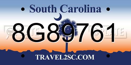 8G89761 South Carolina License Plate