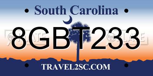 8GBT233 South Carolina License Plate