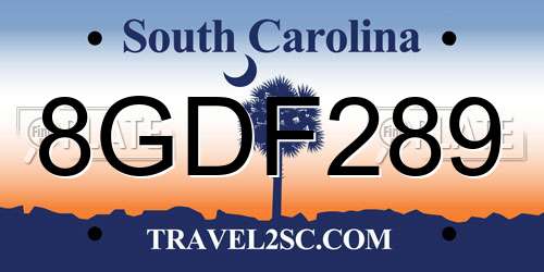 8GDF289 South Carolina License Plate