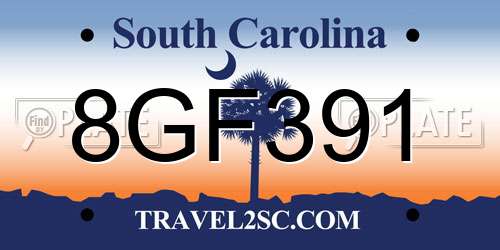 8GF391 South Carolina License Plate