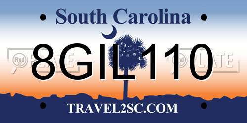 8GIL110 South Carolina License Plate