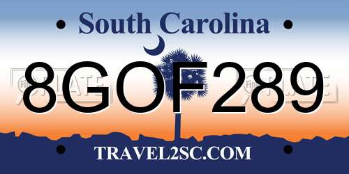 8GOF289 South Carolina License Plate