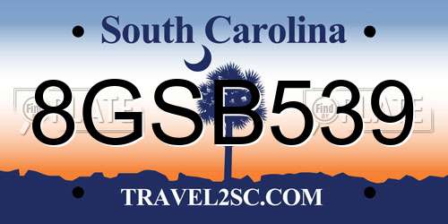 8GSB539 South Carolina License Plate