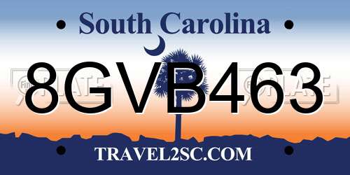 8GVB463 South Carolina License Plate