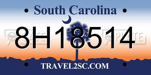 8H18514 South Carolina License Plate