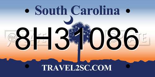 8H31086 South Carolina License Plate