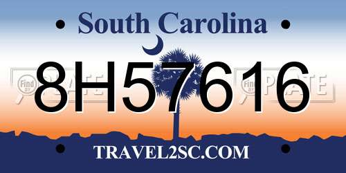 8H57616 South Carolina License Plate