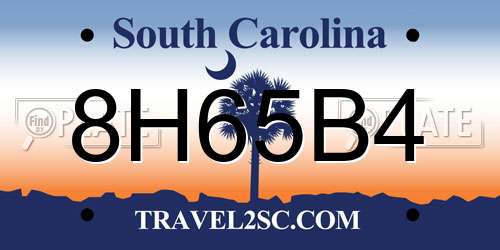 8H65B4 South Carolina License Plate