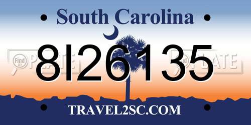 8I26135 South Carolina License Plate