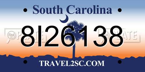 8I26138 South Carolina License Plate