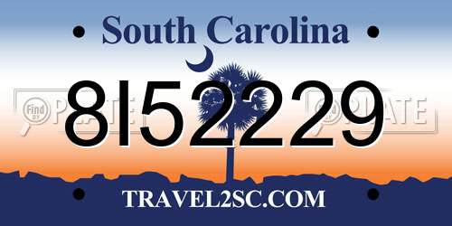 8I52229 South Carolina License Plate