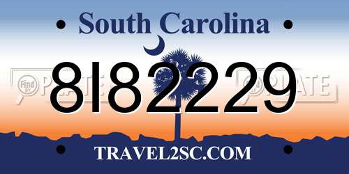 8I82229 South Carolina License Plate