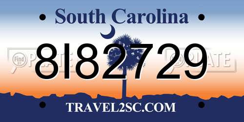 8I82729 South Carolina License Plate