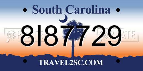 8I87729 South Carolina License Plate