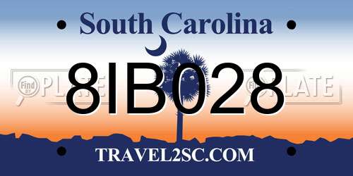8IB028 South Carolina License Plate