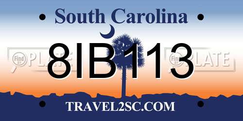 8IB113 South Carolina License Plate
