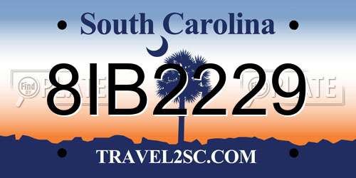8IB2229 South Carolina License Plate