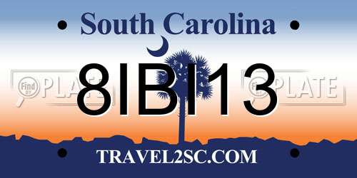 8IBI13 South Carolina License Plate