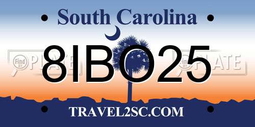 8IBO25 South Carolina License Plate