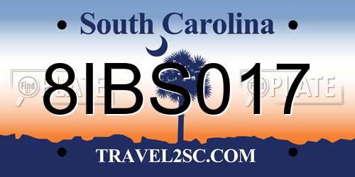 8IBS017 South Carolina License Plate