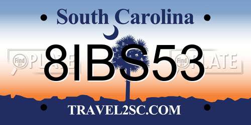 8IBS53 South Carolina License Plate