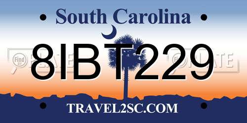 8IBT229 South Carolina License Plate