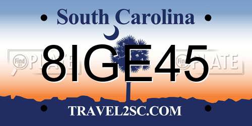 8IGE45 South Carolina License Plate