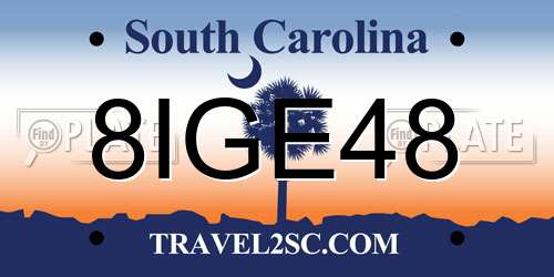 8IGE48 South Carolina License Plate