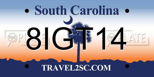 8IGT14 South Carolina License Plate