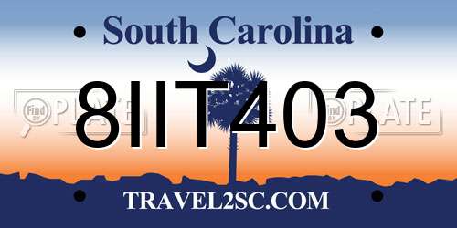 8IIT403 South Carolina License Plate