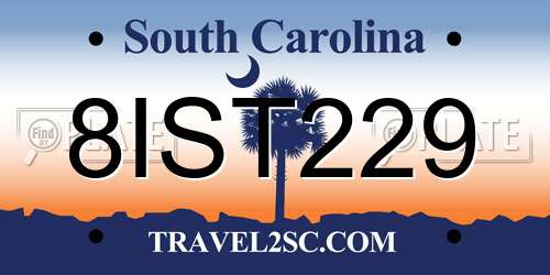 8IST229 South Carolina License Plate