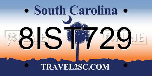 8IST729 South Carolina License Plate
