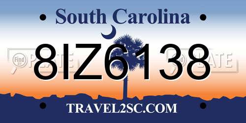 8IZ6138 South Carolina License Plate