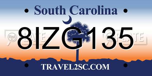 8IZG135 South Carolina License Plate