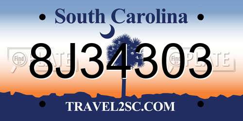 8J34303 South Carolina License Plate