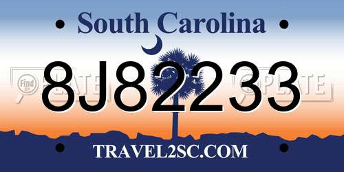 8J82233 South Carolina License Plate