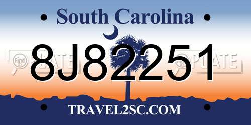 8J82251 South Carolina License Plate