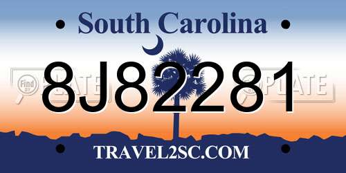 8J82281 South Carolina License Plate