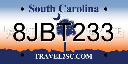8JBT233 South Carolina License Plate
