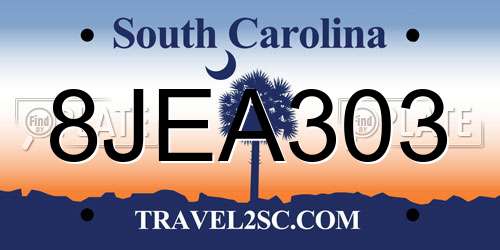 8JEA303 South Carolina License Plate