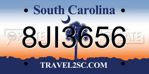 8JI3656 South Carolina License Plate