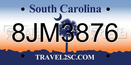 8JM3876 South Carolina License Plate